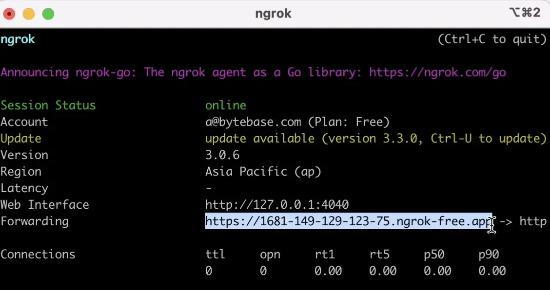 terminal-ngrok